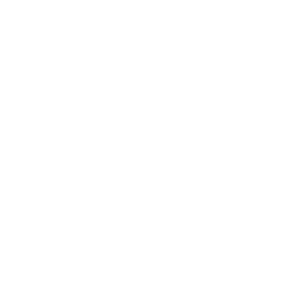 siemens2