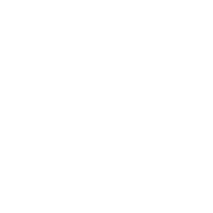 vestas-t